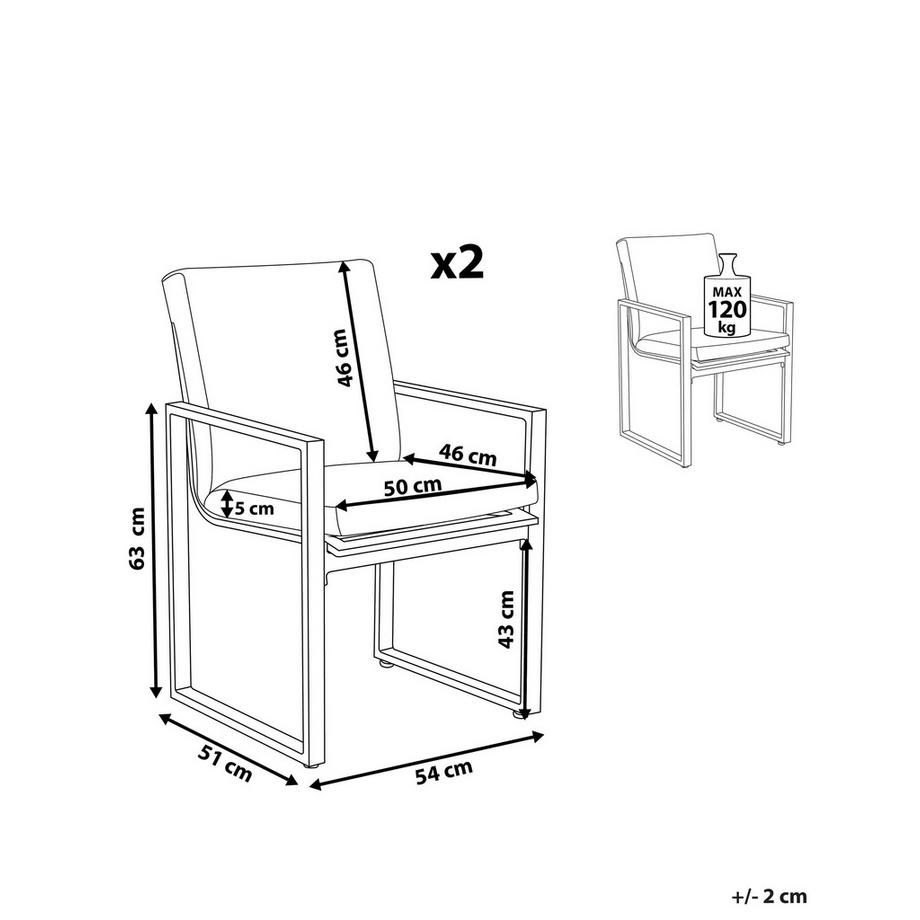 Beliani Set mit 2 Stühlen und Sitzkissen aus Stoff Modern PANCOLE  