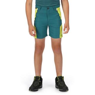 Regatta  Sorcer II Shorts 