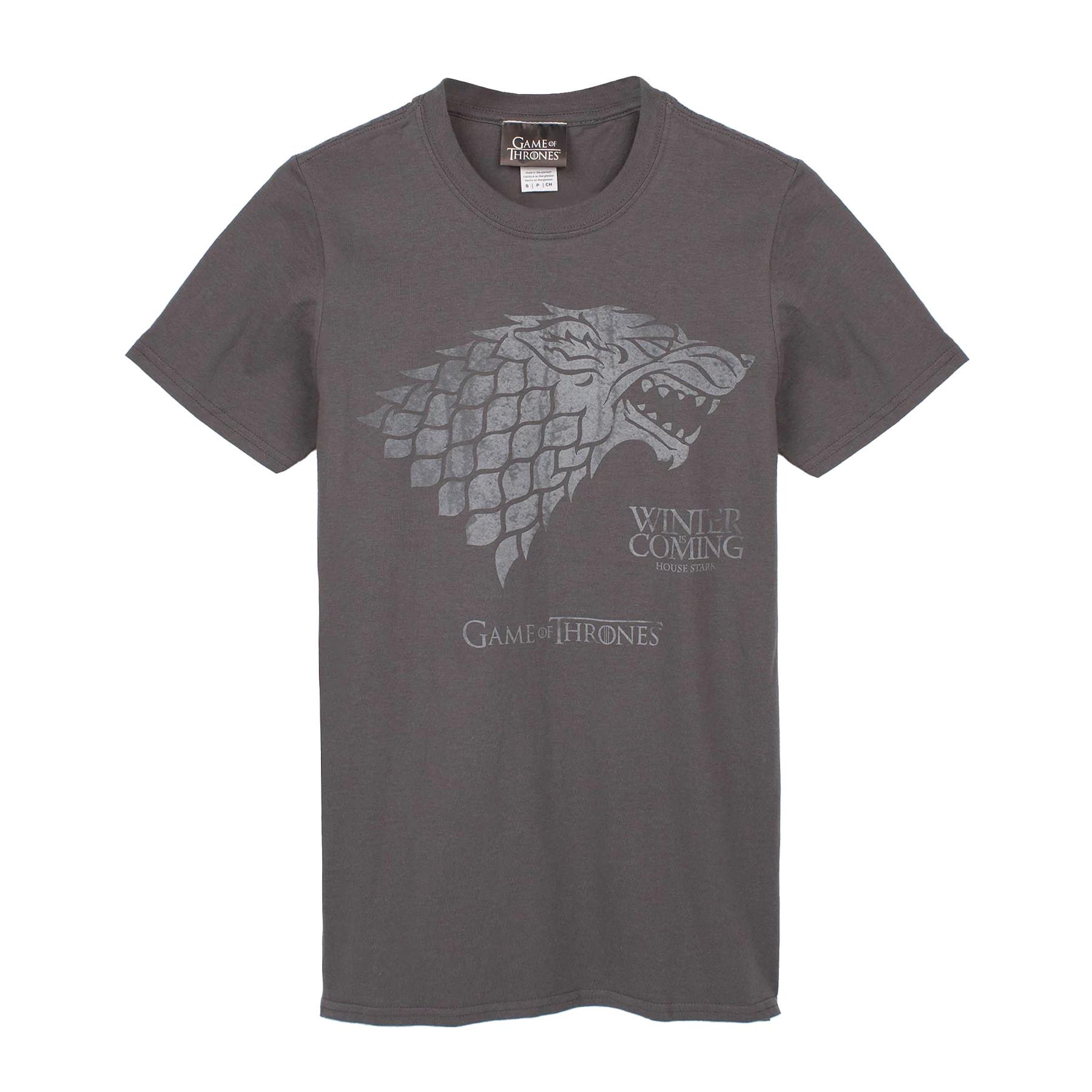 Image of Winter Is Coming Tshirt Herren Grau S