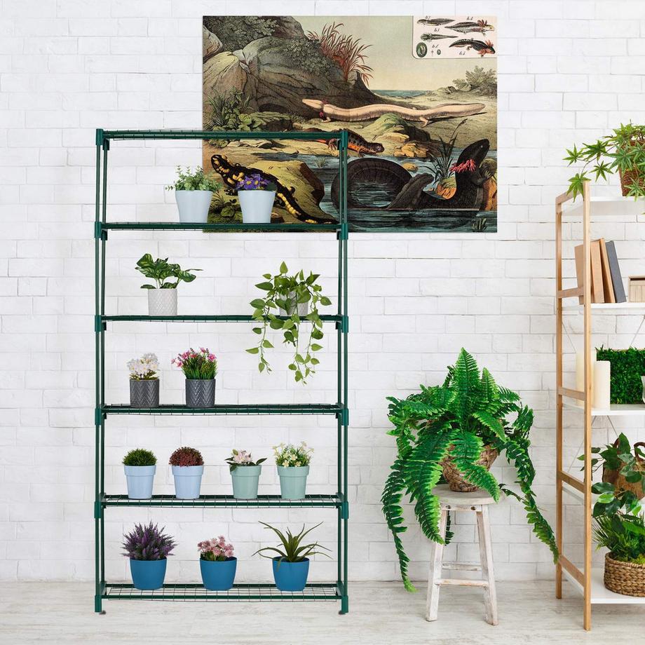 B2X Regal für Pflanzen 6 Regale  