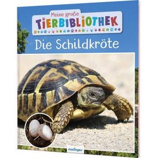 Meine große Tierbibliothek: Die Schildkröte Gutjahr, Axel Couverture rigide 