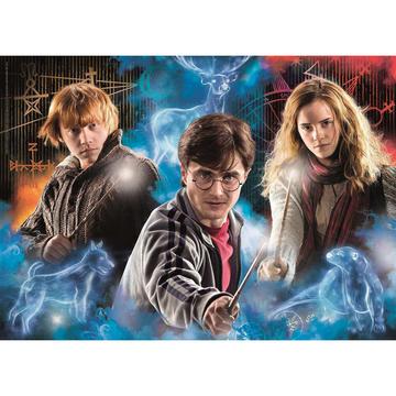 Puzzle Harry Potter Compact (500Teile)