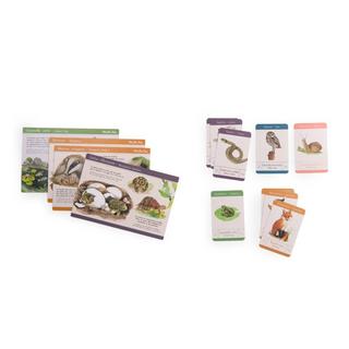 Moulin Roty  Entdeckungsbox Gartentiere FR - EN, Le Jardin du Moulin, Moulin Roty 