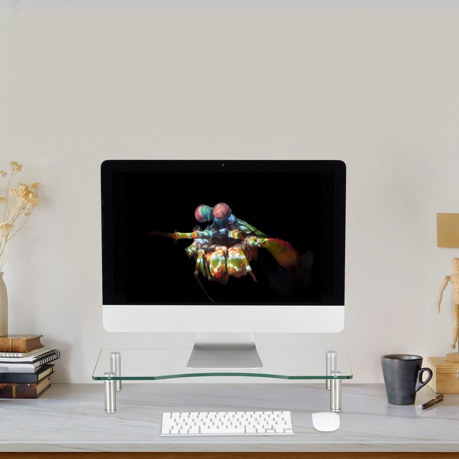 B2X  Supporto per schermo in vetro 