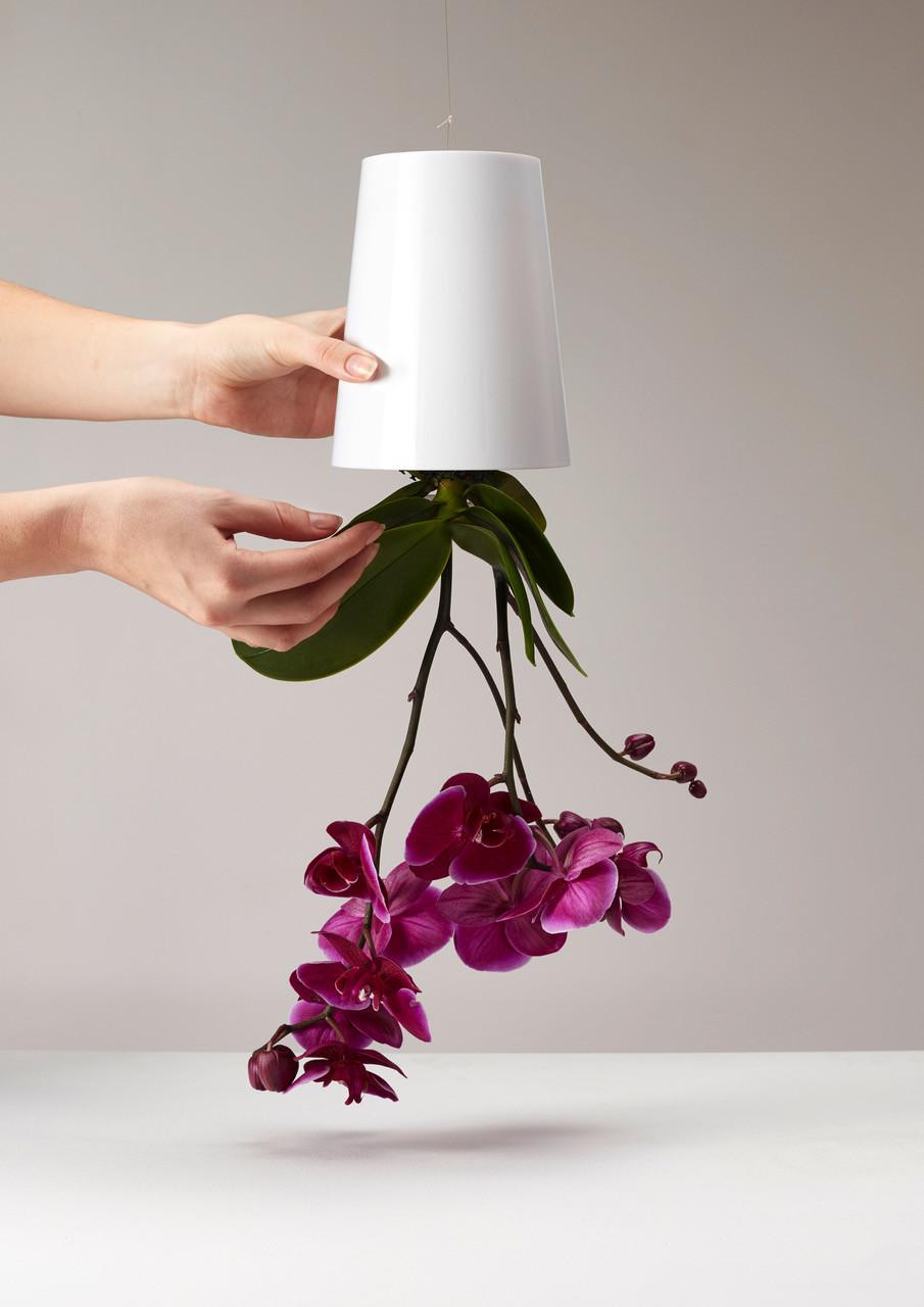 Boskke Vaso per piante sospese Sky Planter con serbatoio d'acqua  