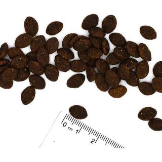 Monge  Gatto Bwild LG Adulto Lepre bruna 1,5kg 