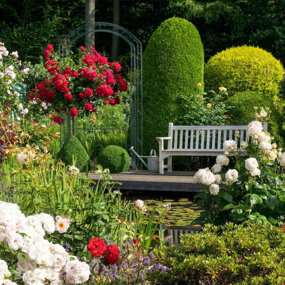 B2X Arche de roses avec portail  