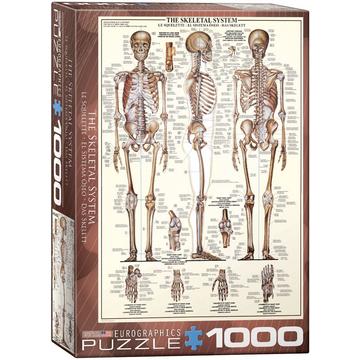 puzzle Das Skelettsystem 1000 Teile