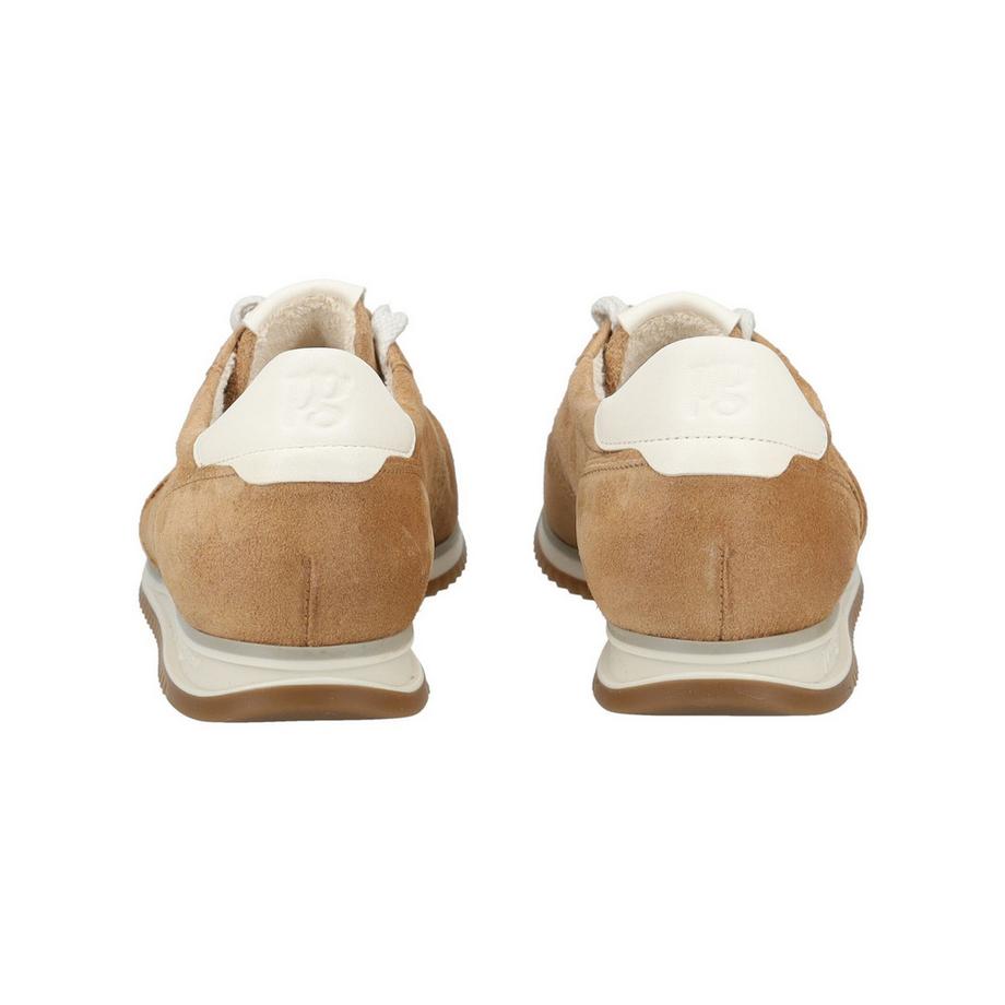 Paul Green Sneakers Basse in Camoscio  