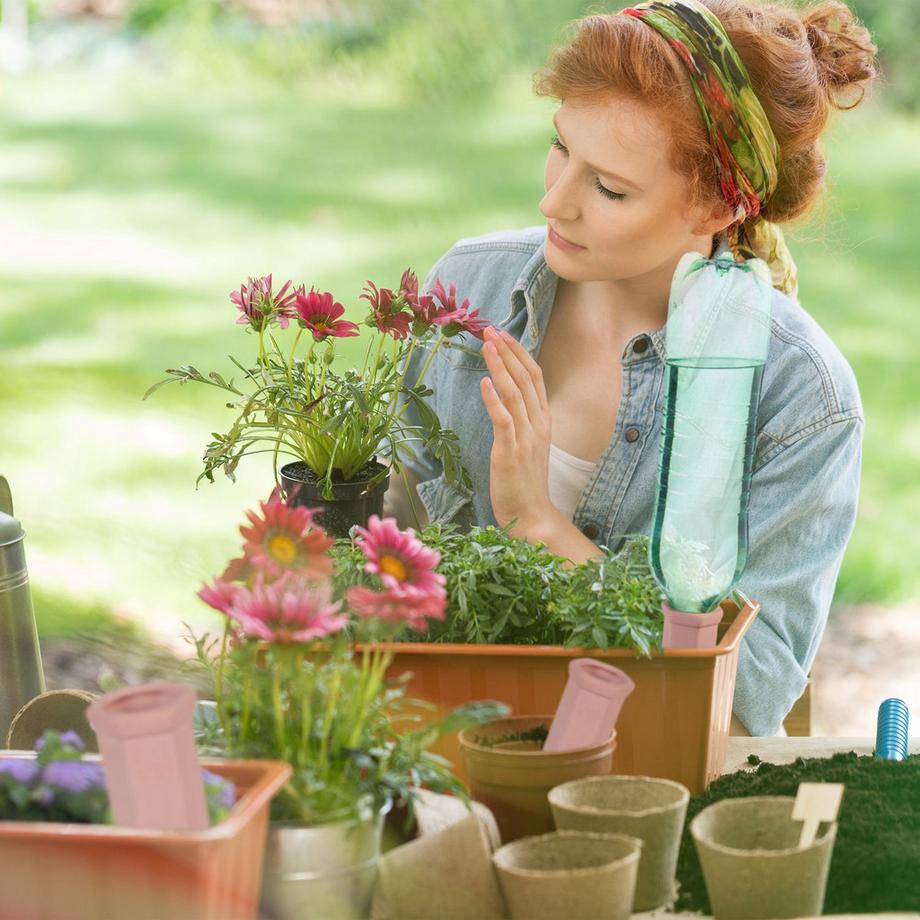 B2X  Tonkegel zur Bewässerung 10er Set 