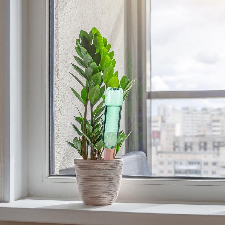 B2X  Tonkegel zur Bewässerung 10er Set 