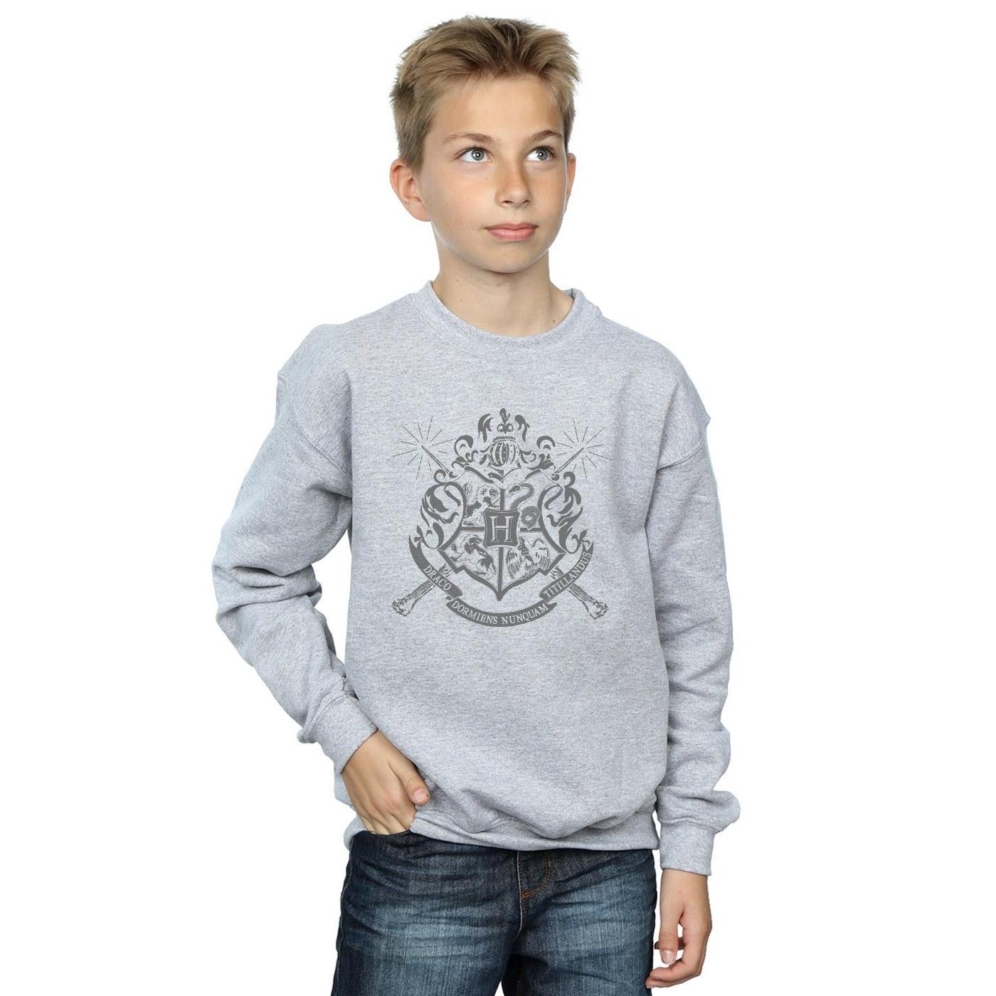 Harry Potter  Wands Sweatshirt 