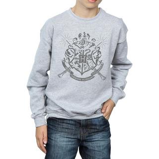 Harry Potter  Wands Sweatshirt 