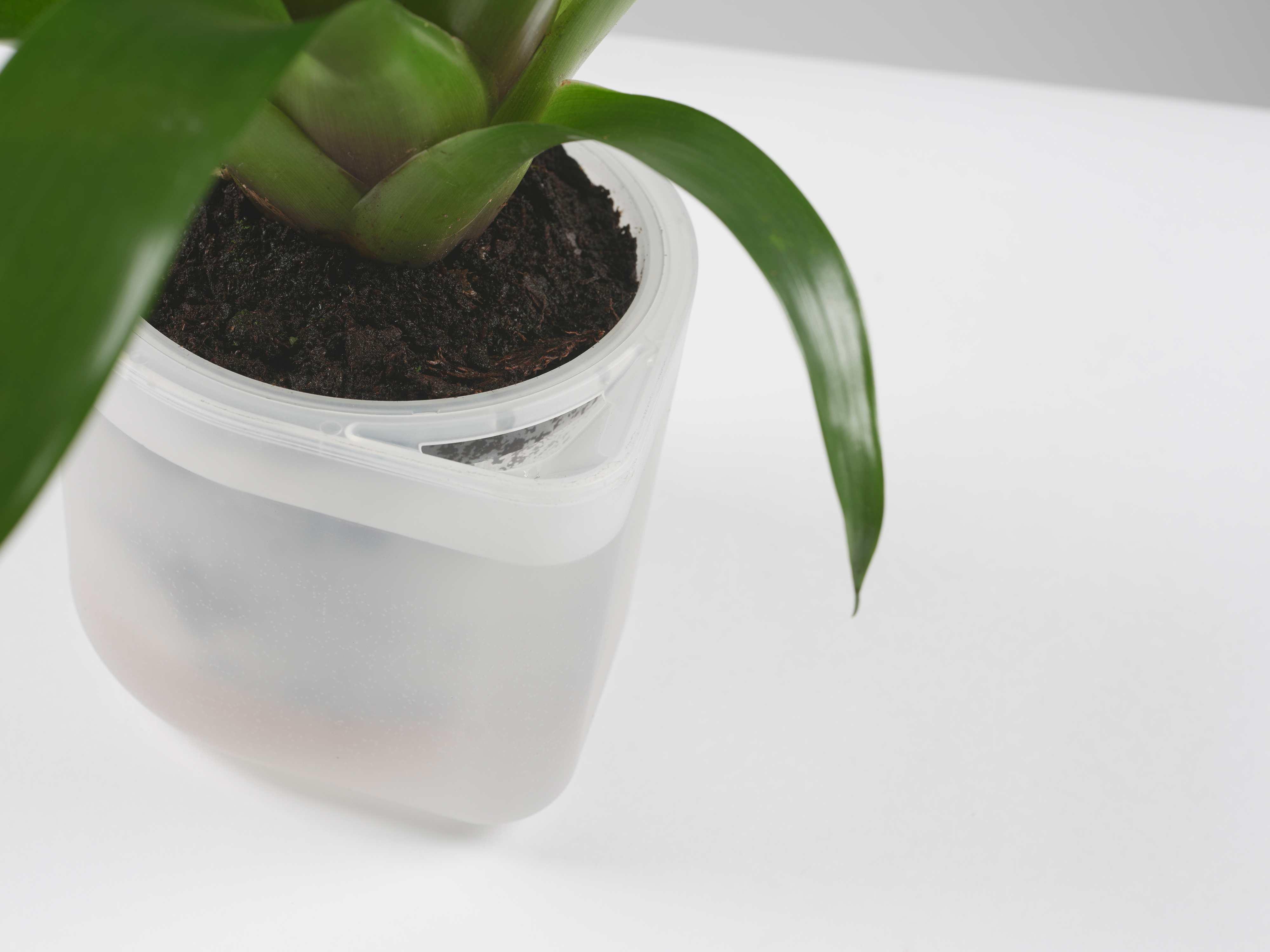 Boskke Till Planter, pot à plantes transparent, lot de 3 avec auto-arrosage  