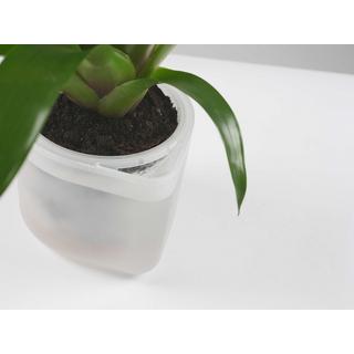 Boskke Till Planter, pot à plantes transparent, lot de 3 avec auto-arrosage  