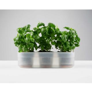 Boskke Till Planter, pot à plantes transparent, lot de 3 avec auto-arrosage  