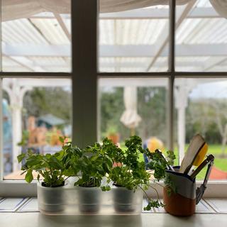 Boskke Till Planter, Vasi trasparenti, set di 3 vasi con sistema di auto-irrigazione  