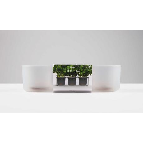 Boskke Till Planter, pot à plantes transparent, lot de 3 avec auto-arrosage  