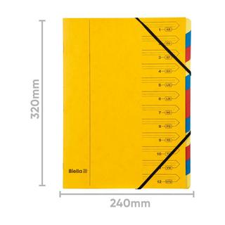 Biella Gummibandmappe A4 mit Beschriftungsstreifen - x 15  