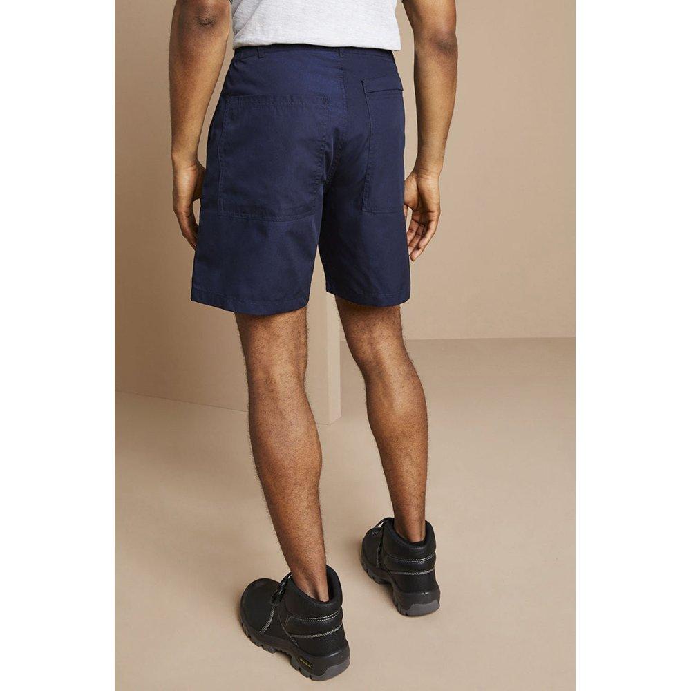 Regatta  New Action Shorts 