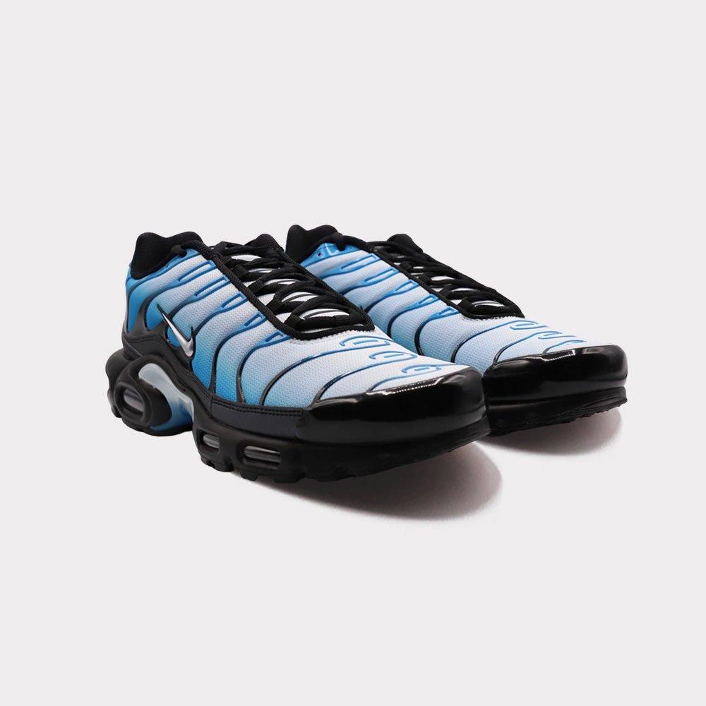 NIKE  Air Max Plus - Blue Gradient 