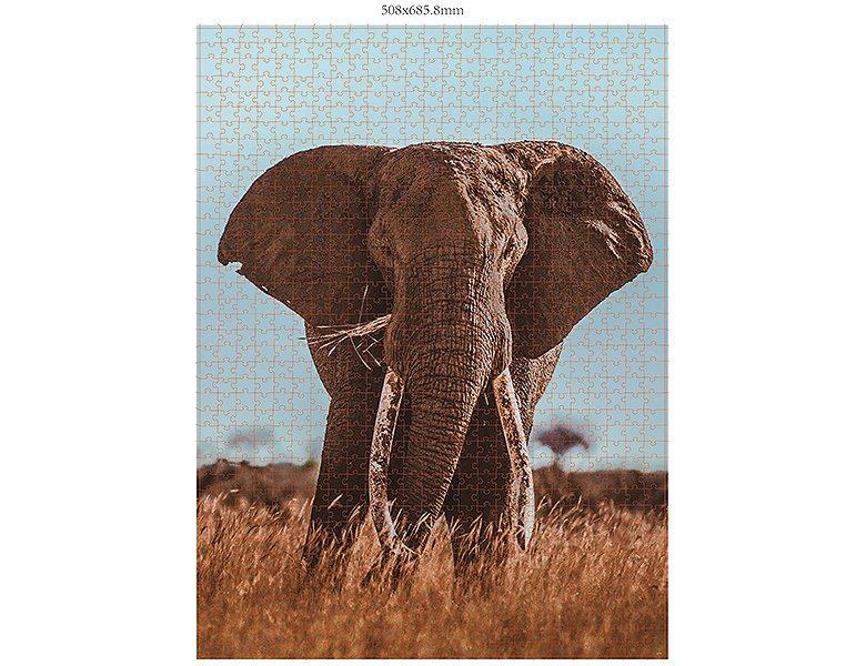 Ambassador  Puzzle 3er Set Wildtiere Blickkontakt (1000Teile) 