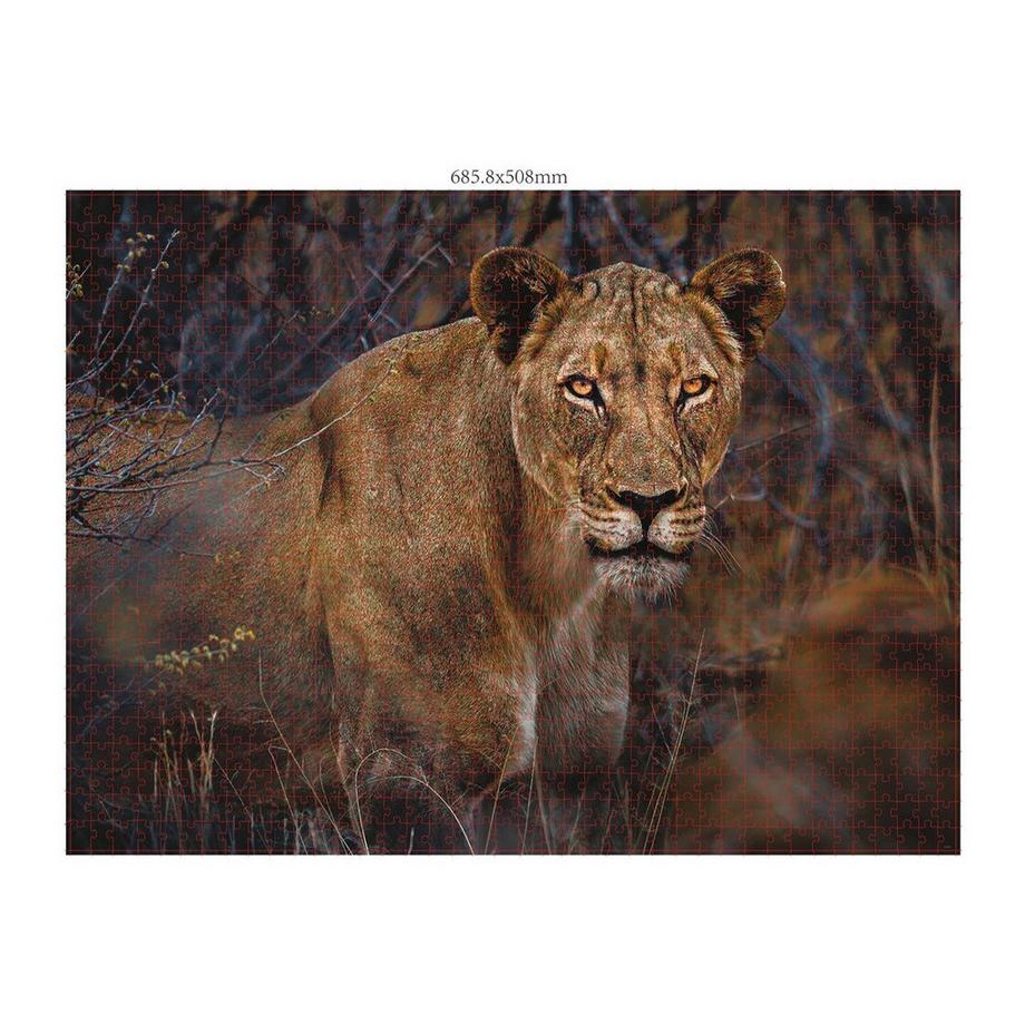 Ambassador  Puzzle 3er Set Wildtiere Blickkontakt (1000Teile) 