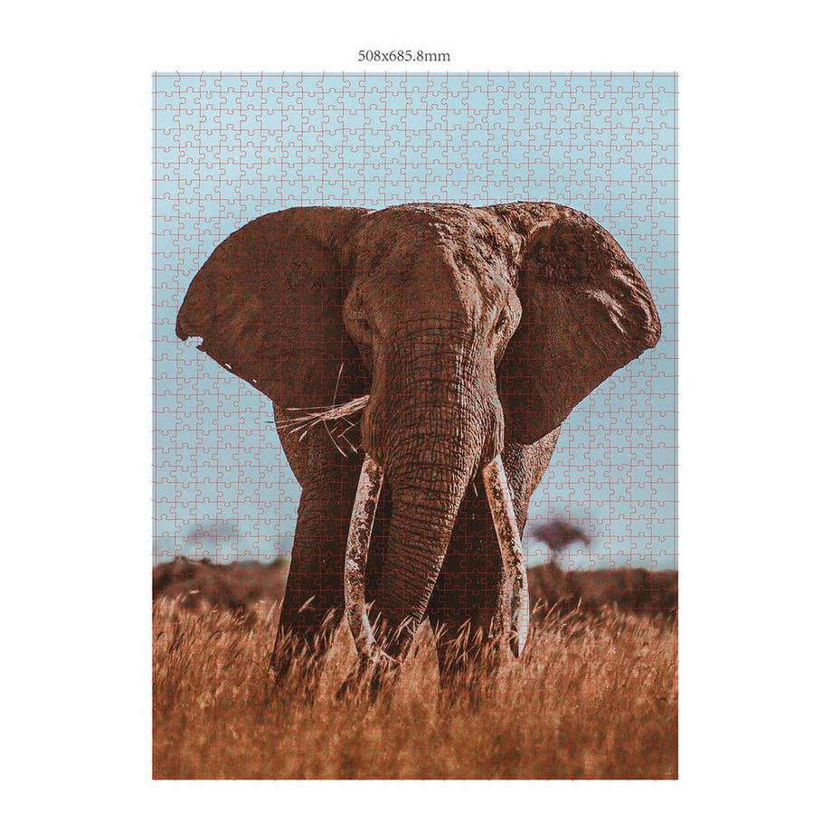 Ambassador  Puzzle 3er Set Wildtiere Blickkontakt (1000Teile) 