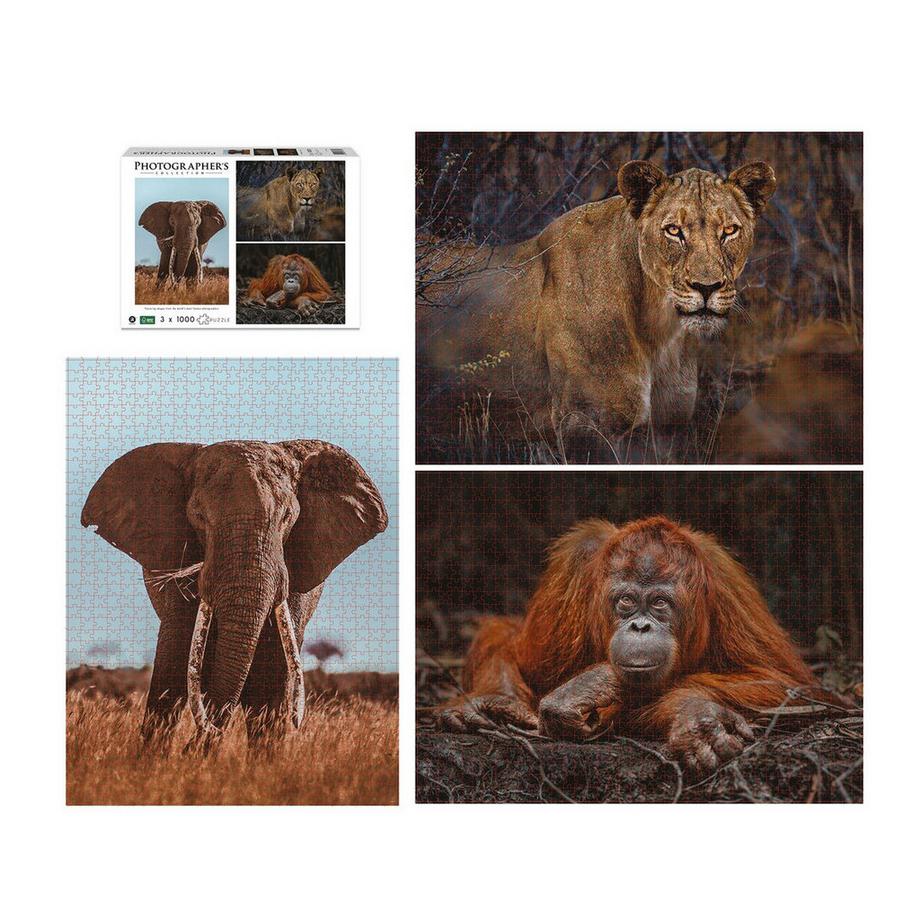 Ambassador  Puzzle 3er Set Wildtiere Blickkontakt (1000Teile) 