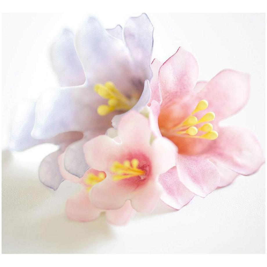 Decora Ausstecher Set Ausstecher Set Petunien, 5-teilig  