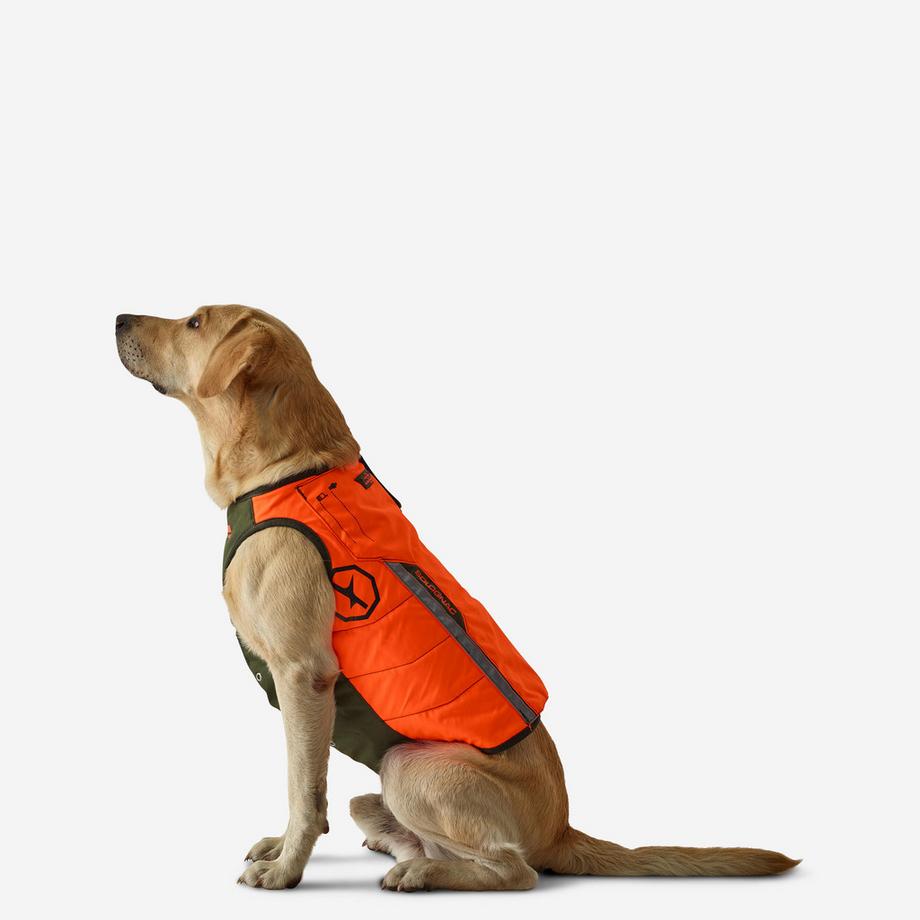 Schutzweste Hund Jagd Polyester