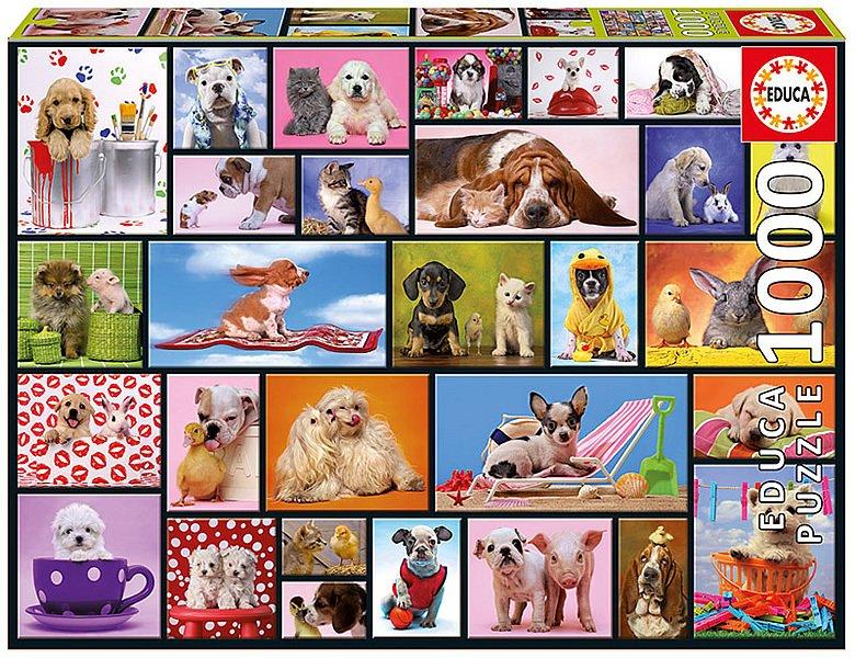 Image of Gedeelde herinneringen (1000)