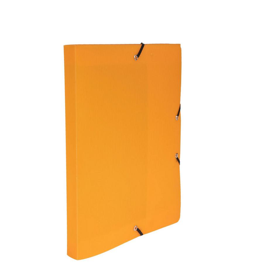 Exacompta Cartella portaprogetti dorso 25mm polipropilene Lincolor - A4 - x 17  