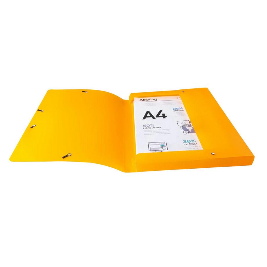 Exacompta Cartella portaprogetti dorso 25mm polipropilene Lincolor - A4 - x 17  