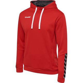 Hummel  hoodie huel hlauthentic poly 