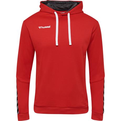 Hummel  felpa con cappuccio huel hlauthentic poly 