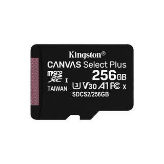 Kingston  Kingston Technology Scheda micSDXC Canvas Select Plus 100R A1 C10 da 256GB + adattatore 