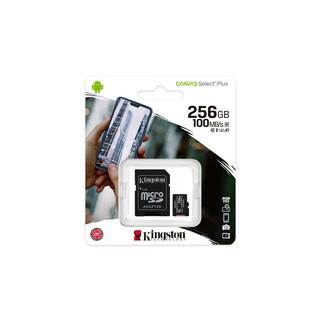Kingston  256GB MICROSDXC CANVAS 