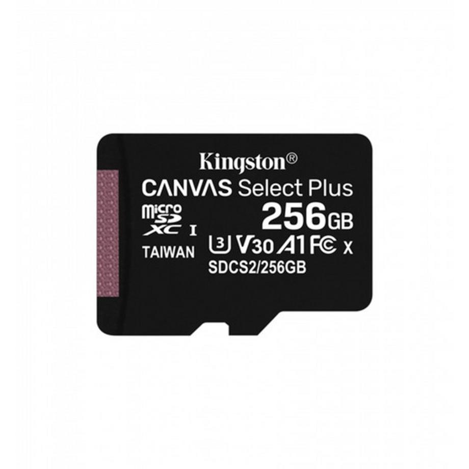 256GB MICROSDXC CANVAS