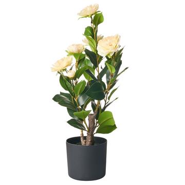 Plante artificielle en Matière synthétique Glamour CAMELLIA