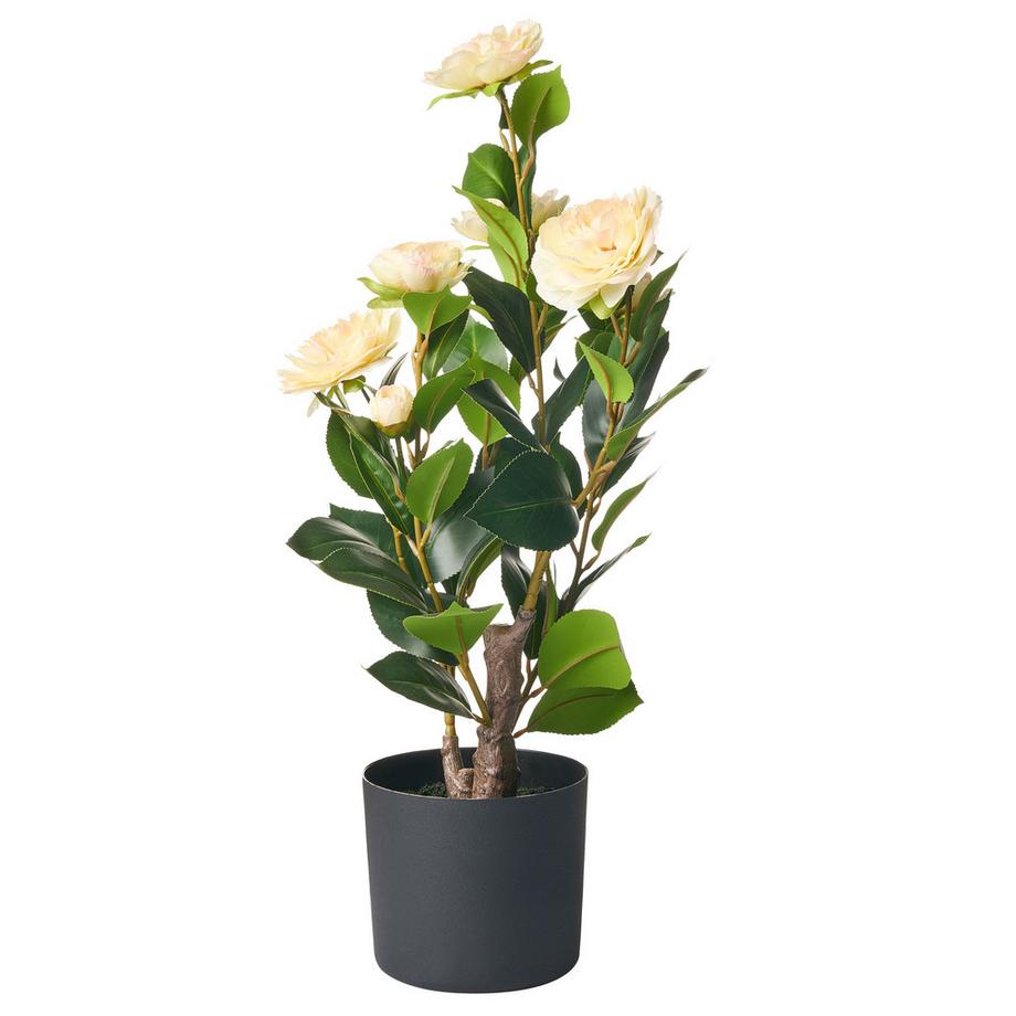 Beliani Plante artificielle en Matière synthétique Glamour CAMELLIA  