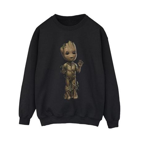 MARVEL  I Am Groot Sweatshirt 