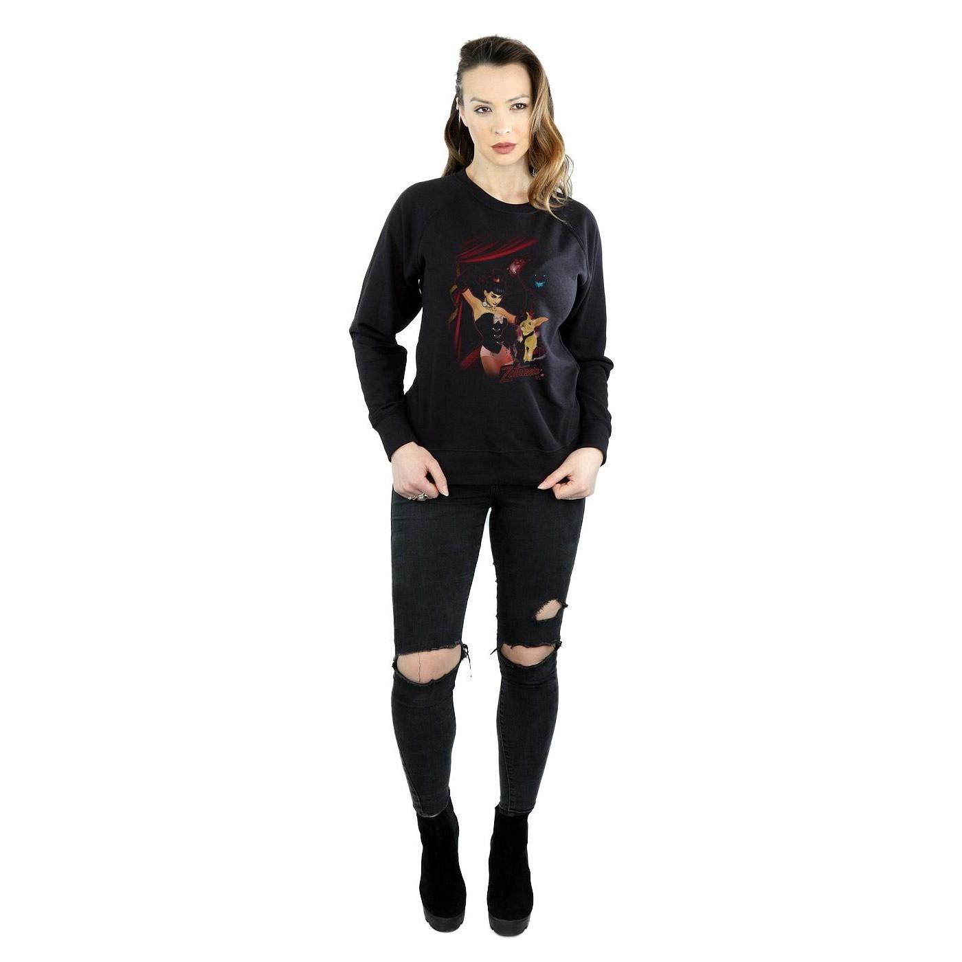 DC COMICS  Sweatshirt 