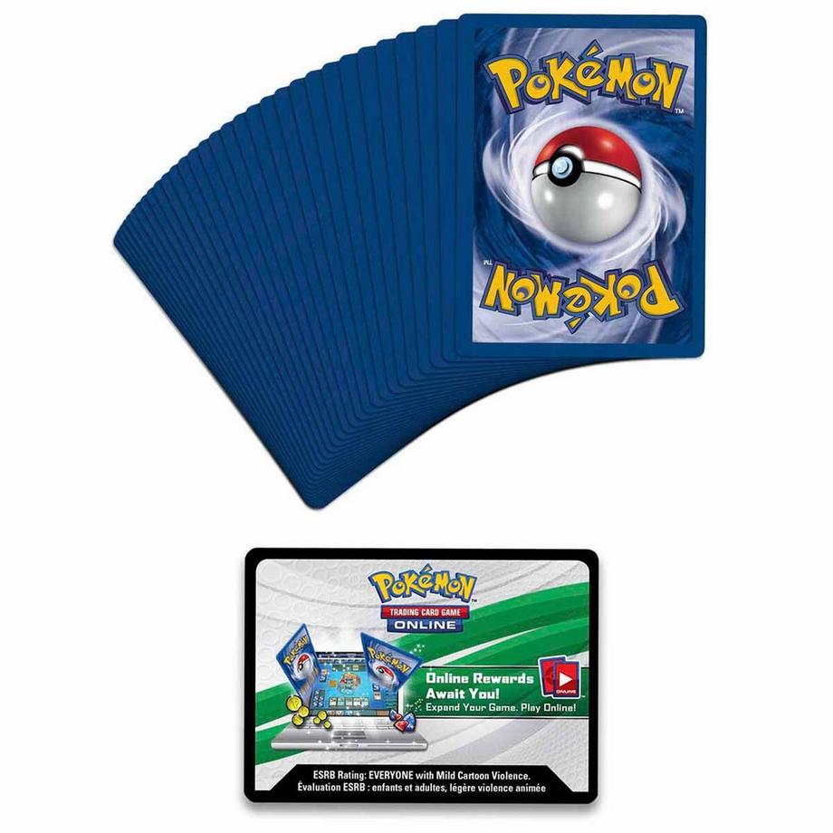 Pokémon  Sword & Shield Darkness Ablaze Build & Battle Prerelease Kit 