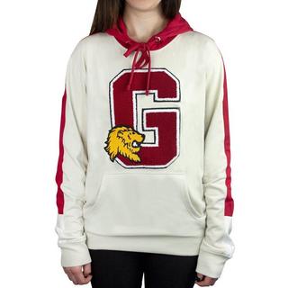 Harry Potter  Sweat à capuche GRYFFINDOR 