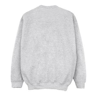 Disney  Encanto Sweatshirt 