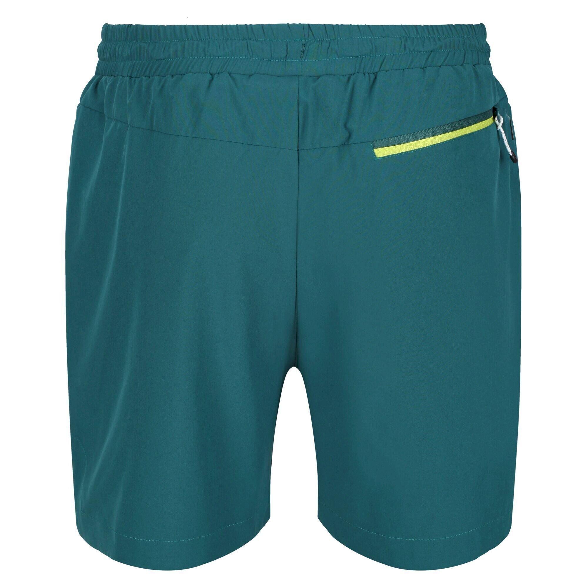 Regatta  Hilston Shorts 