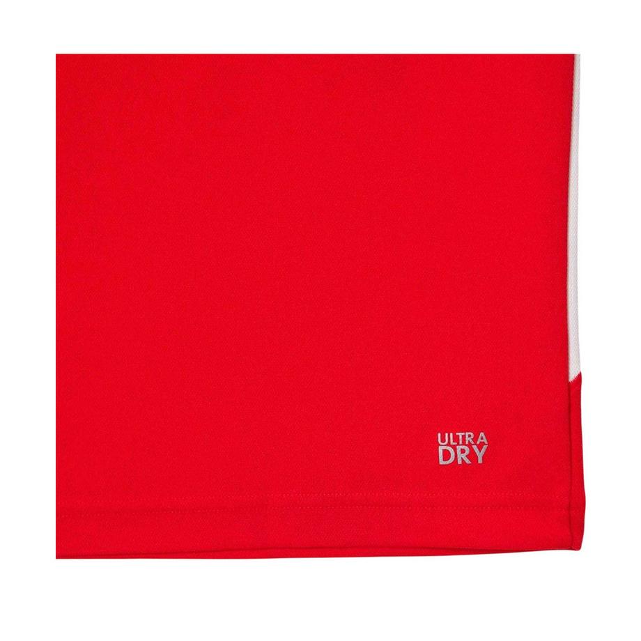 LACOSTE Tennis X Novak Djokovic Poloshirt Regular Fit  