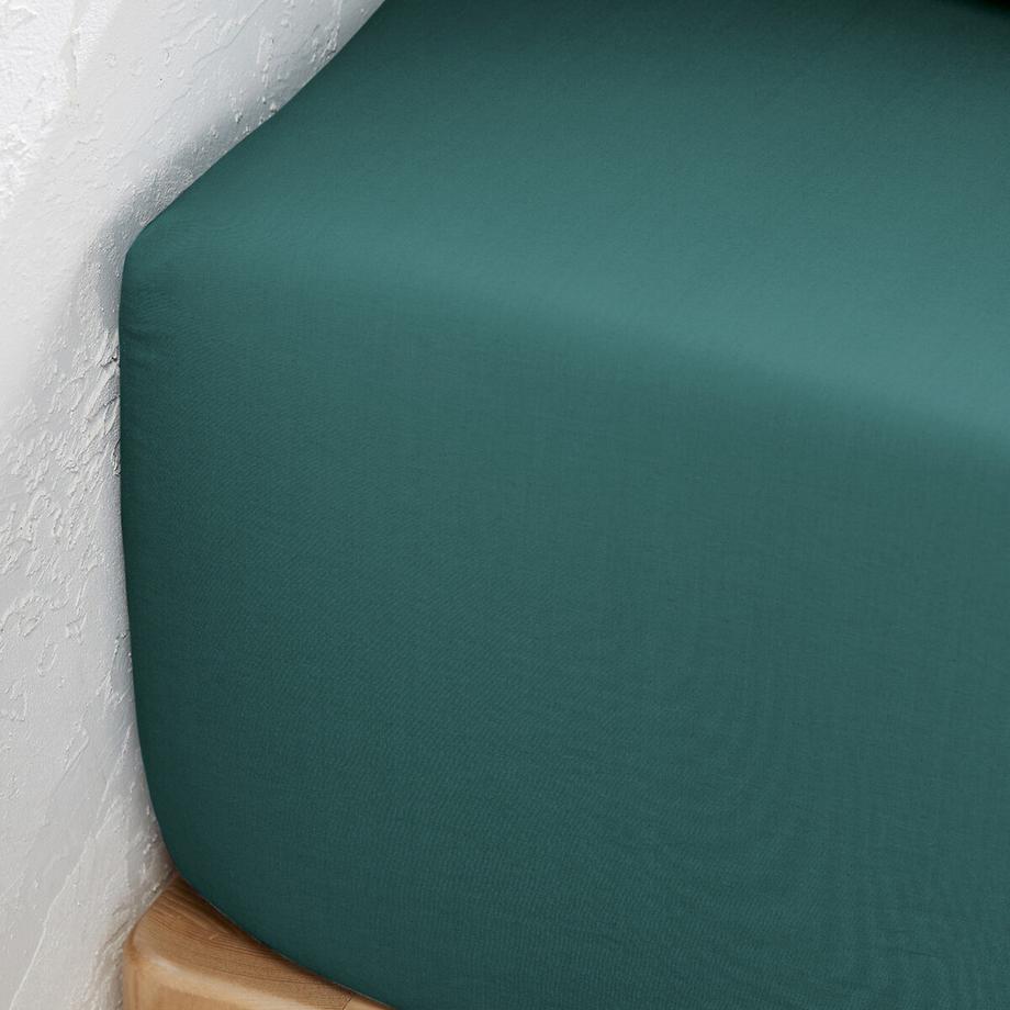 La Redoute Intérieurs Drap-housse Scenario  