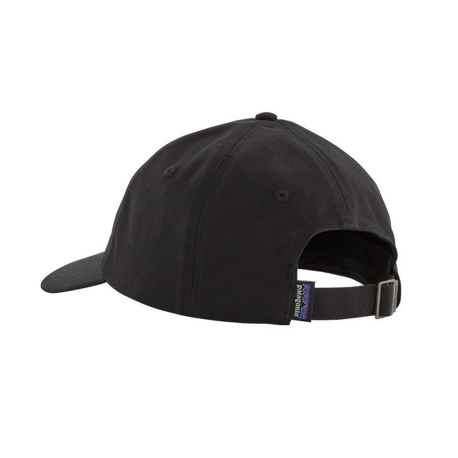 Patagonia P6 Label Trad Cap  